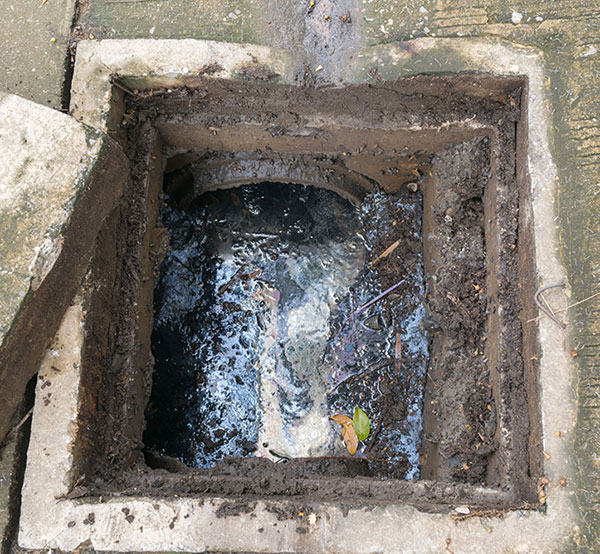 Signs You Have Blocked Drains - No Probs Plumbing And Electrical